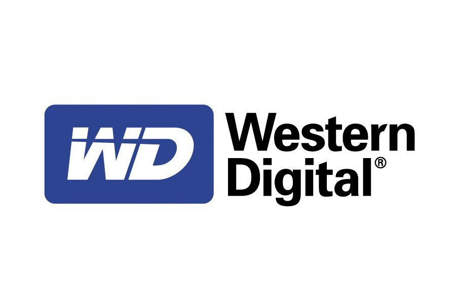 Haşem Web Tasarım